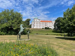 „Hengst Wohlklang in der Freiheitsdressur“, Ulrich Conrad, Schlossark Celle © LLV „Hengst Wohlklang in der Freiheitsdressur“, Ulrich Conrad, Schlossark Celle © LLV
